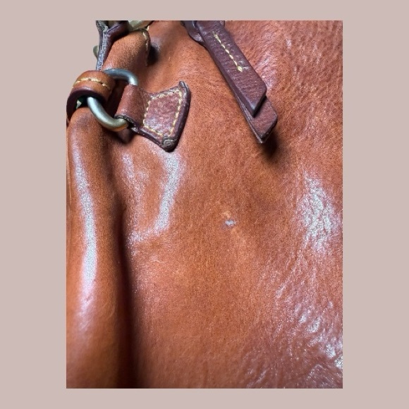 Dooney & Bourke Florentine Hobo Bag - Picture 8 of 16